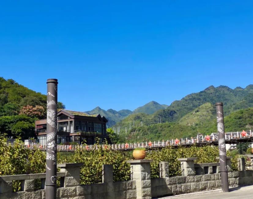 茅台镇酱香酒大比拼：谁才是真正的“酒王”？